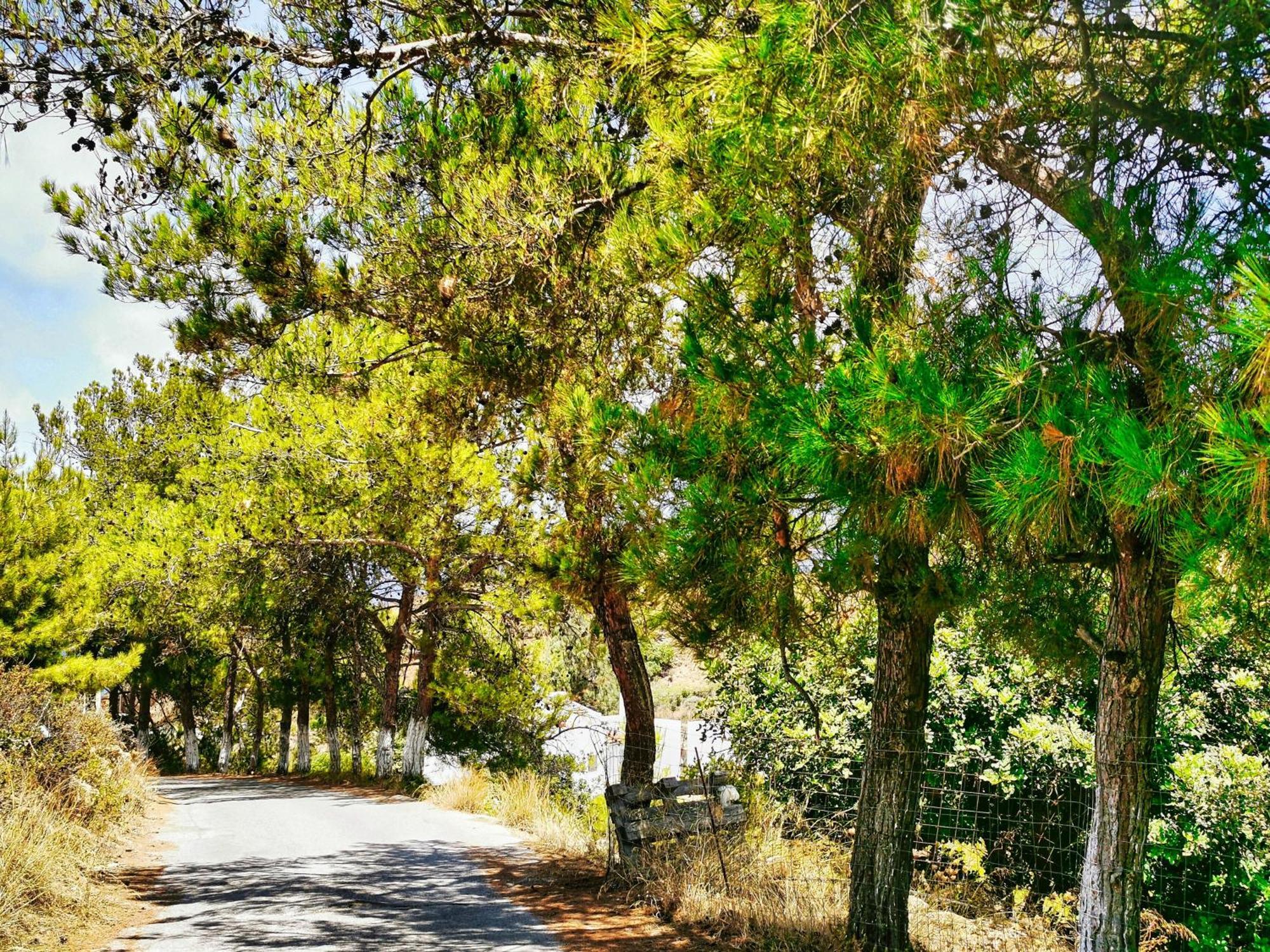 Phaos Residence, Your Stylish Crete Retreat Pánormos 외부 사진